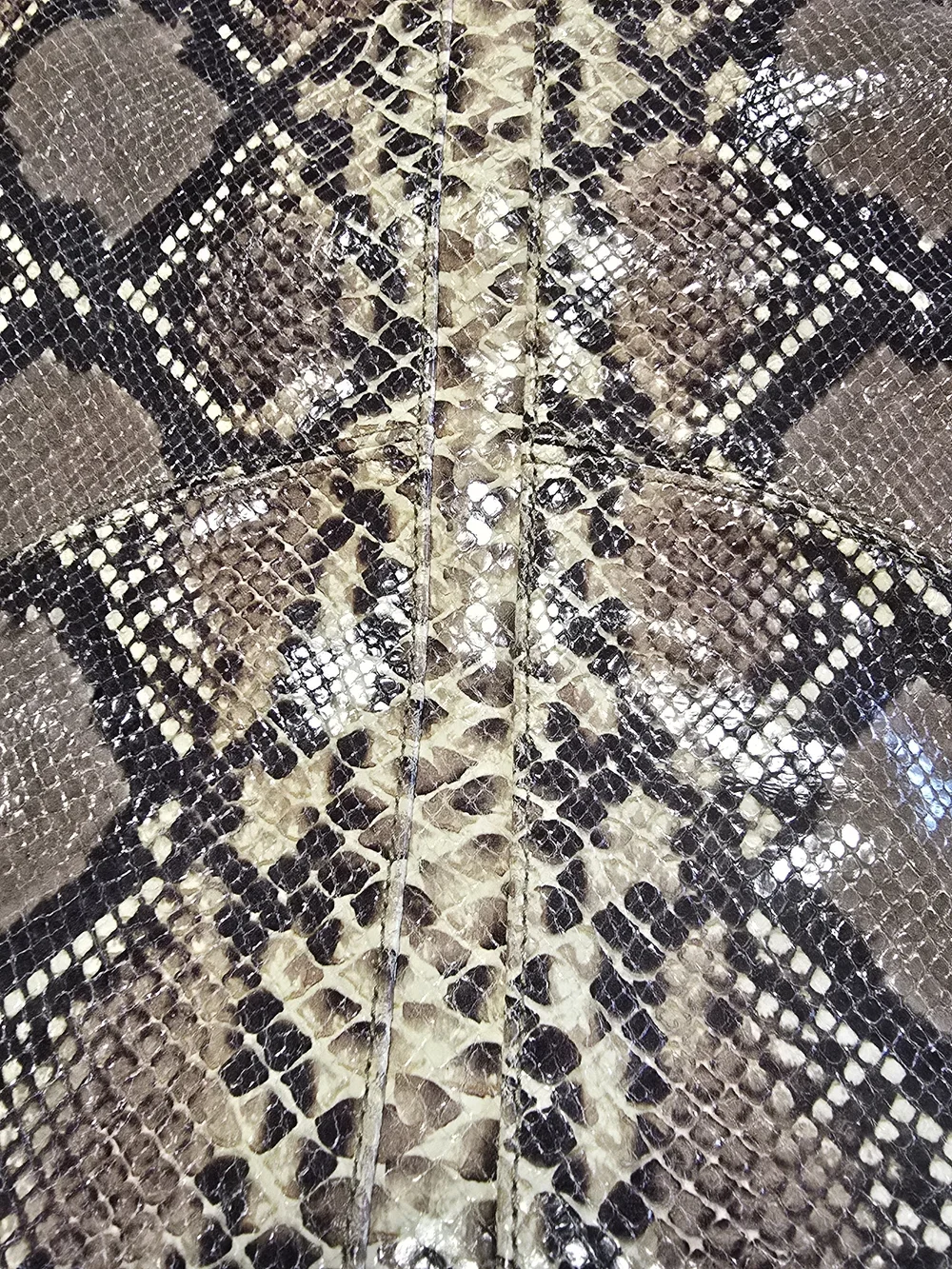 Alexis Hudson stylish snake